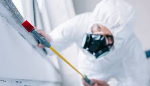 Pest Control for Hotels in Blaine, TN